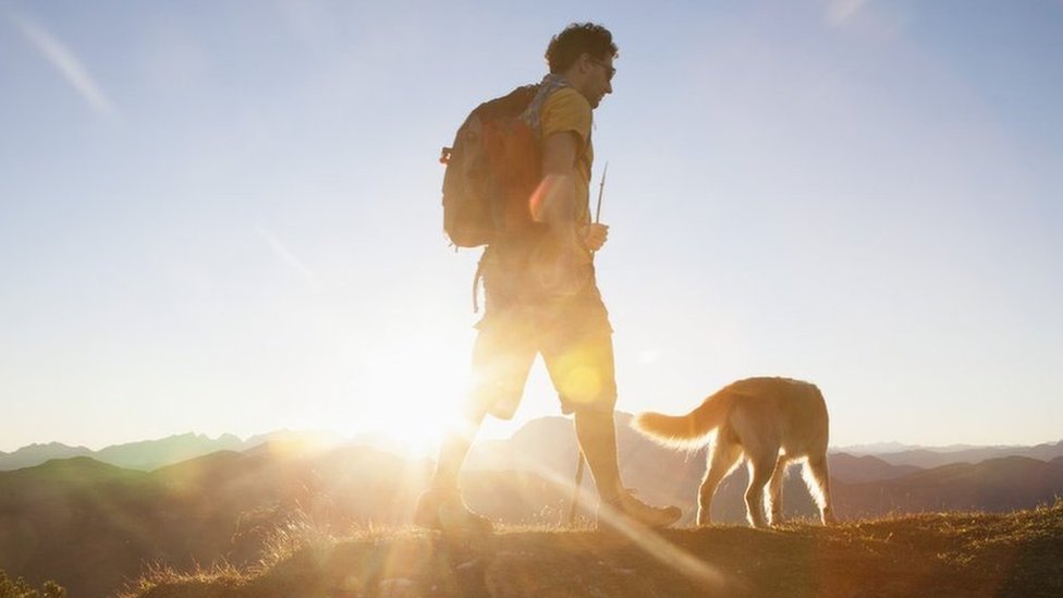 Caminata por las mañanas