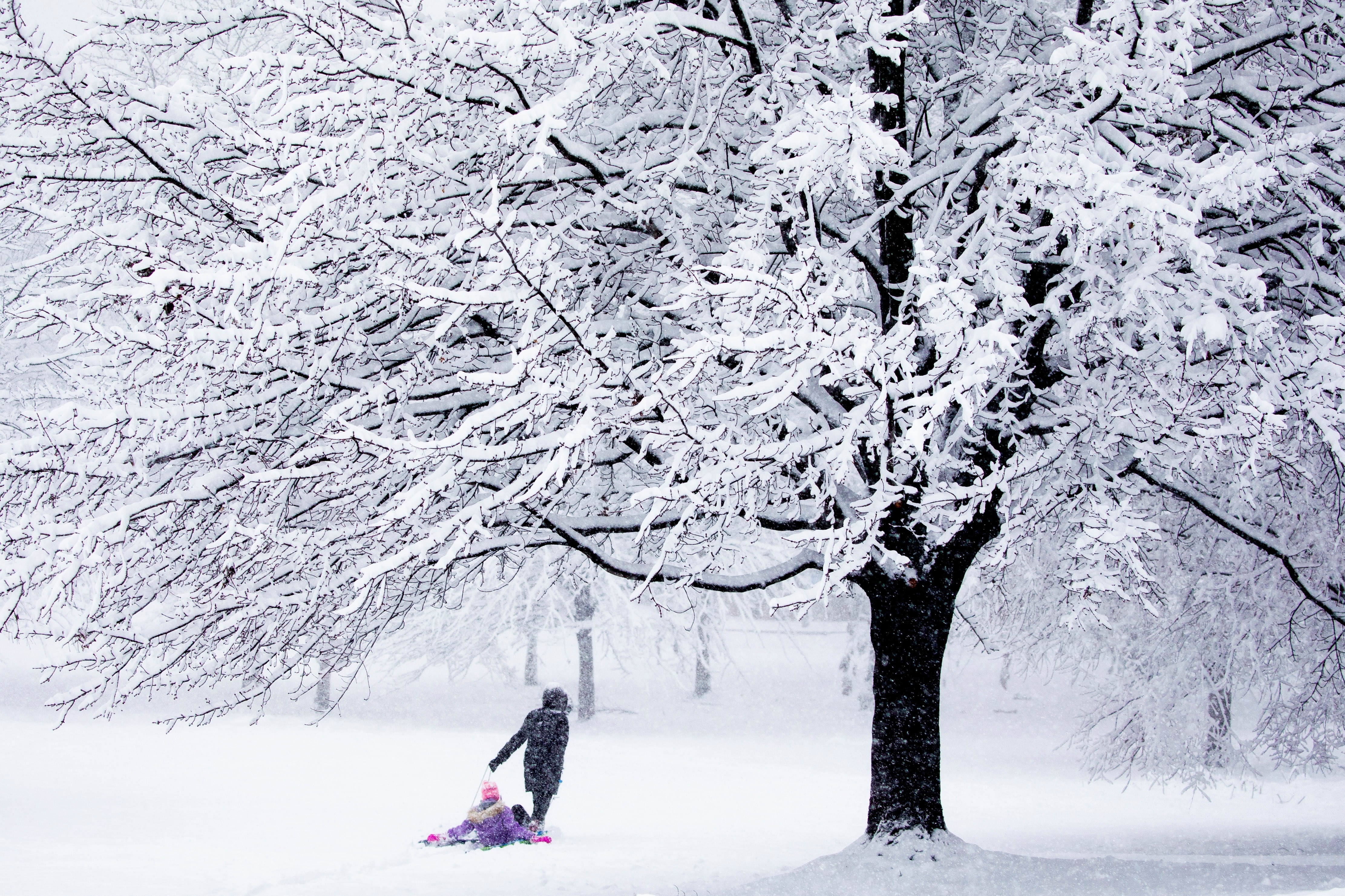 Foto de archivo de una tormenta invernal en Estados Unidos. (Foto Prensa Libre: EFE)