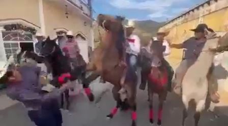 Momento en que un caballo golpea a cantante en desfile hípico en Santa Rosa. (Foto Prensa Libre: Santa Cruz TV)