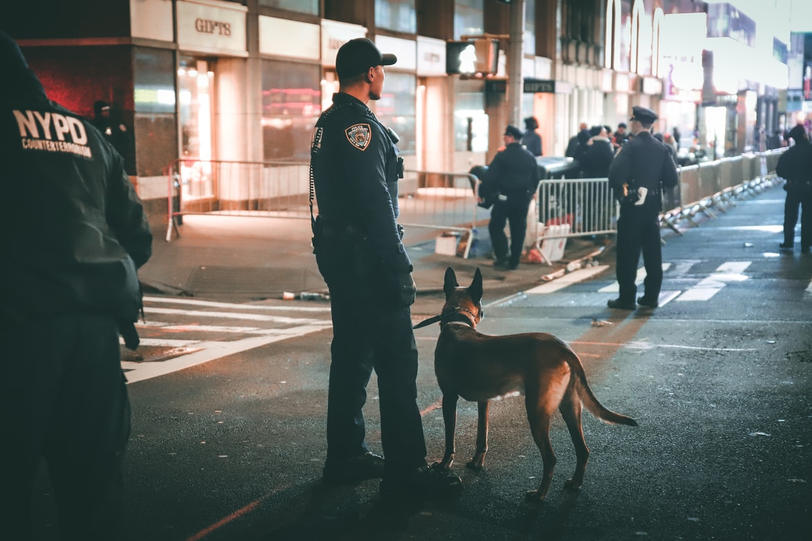 Un ataque de un perro policía en Maine, EE. UU., quedó grabado en un video que sirvió para que un hombre recibiera una indemnización de más de US$300 mil. (Foto Prensa Libre: Unsplash)