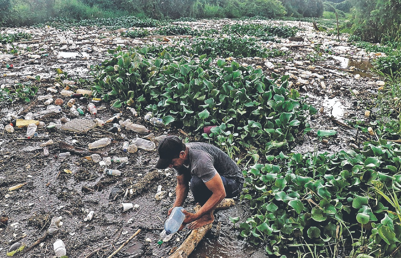 EL irrespeto hacia el medioambiente al contaminar, deforestar y causar daños a la flora y fauna perjudica a toda a la humanidad, problemática que se agrava a pesar de que hace 50 años comenzaron los primeros esfuerzos mundiales para contrarrestarla. (Foto Hemeroteca PL)