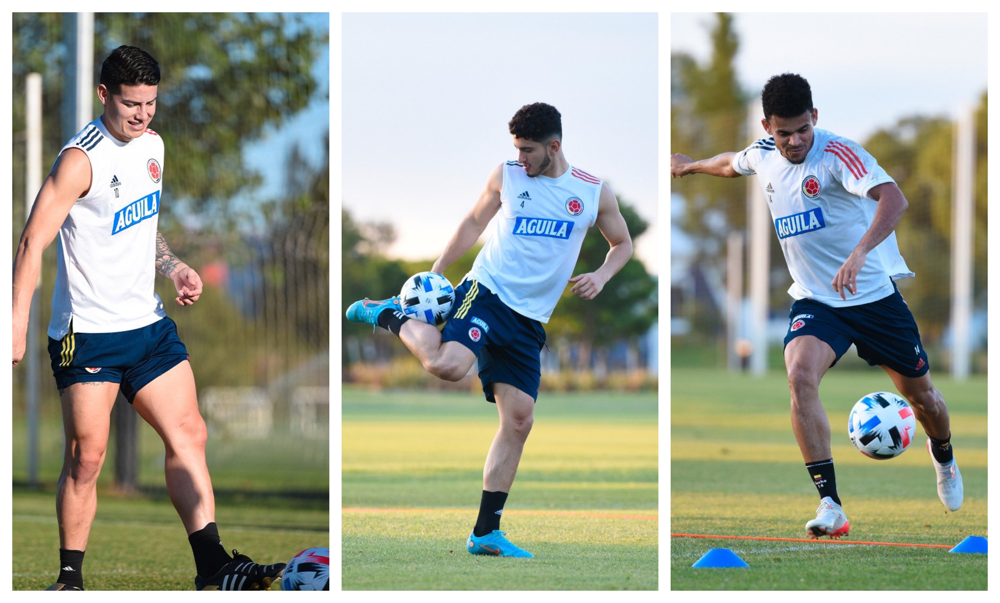 Los jugadores de Colombia se juegan la vida frente Argentina. El equipo cafetero tiene 17 puntos y se ubica en el sexto puesto. (Fotos Federación de Colombia).