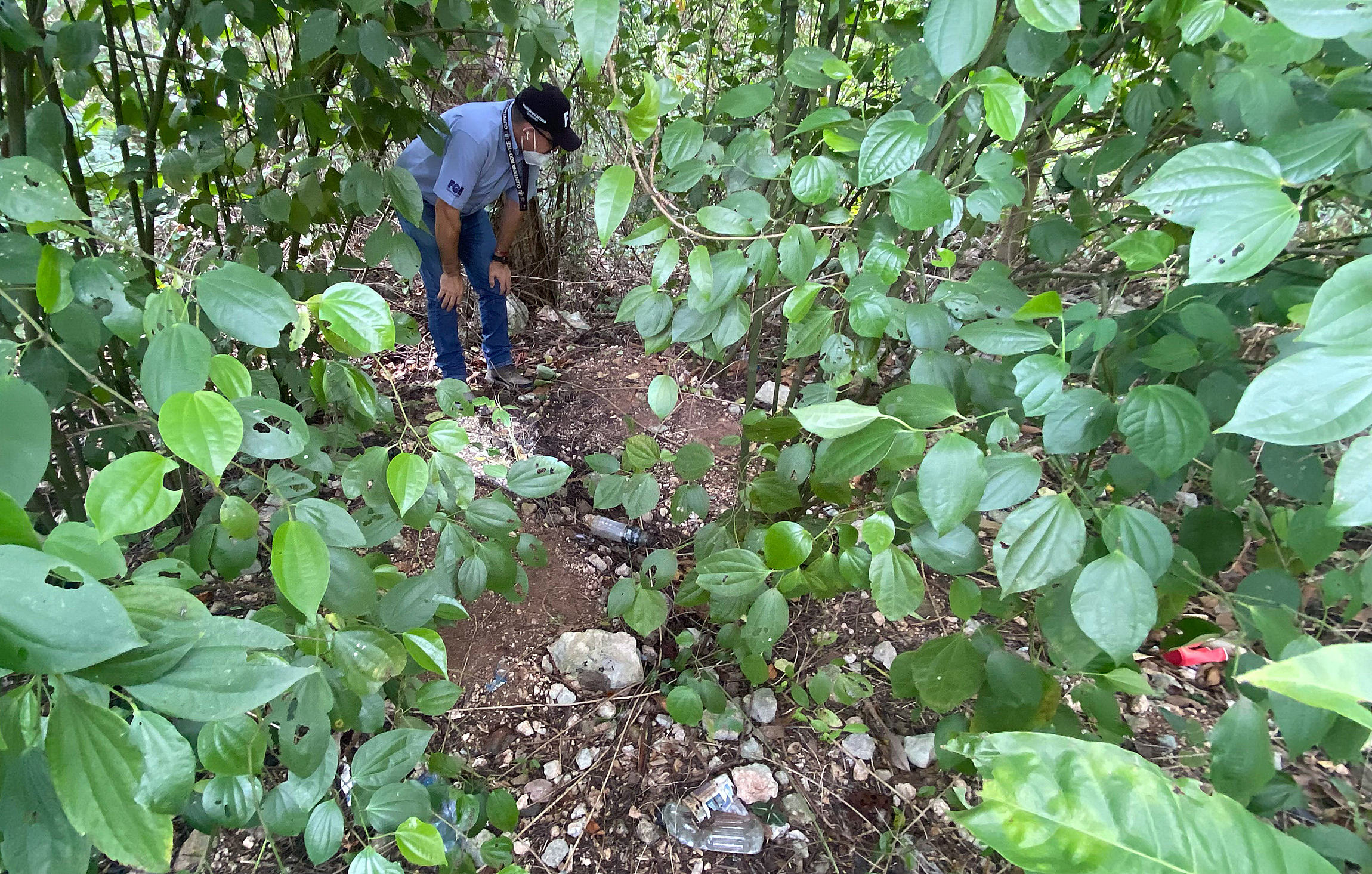 Peritos de la Fiscalía General del Estado (FGE) examinan hoy la zona en que fue hallada una fosa clandestina en Cancún, estado de Quintana Roo (México). Autoridades mexicanas localizaron este sábado una fosa clandestina en Cancún donde se rescataron los restos de cinco personas, hallazgo derivado de la detención de 11 integrantes de una banda delictiva el viernes en la misma ciudad, informó la Fiscalía General del suroriental estado de Quintana Roo. (Foto Prensa Libre: Efe)