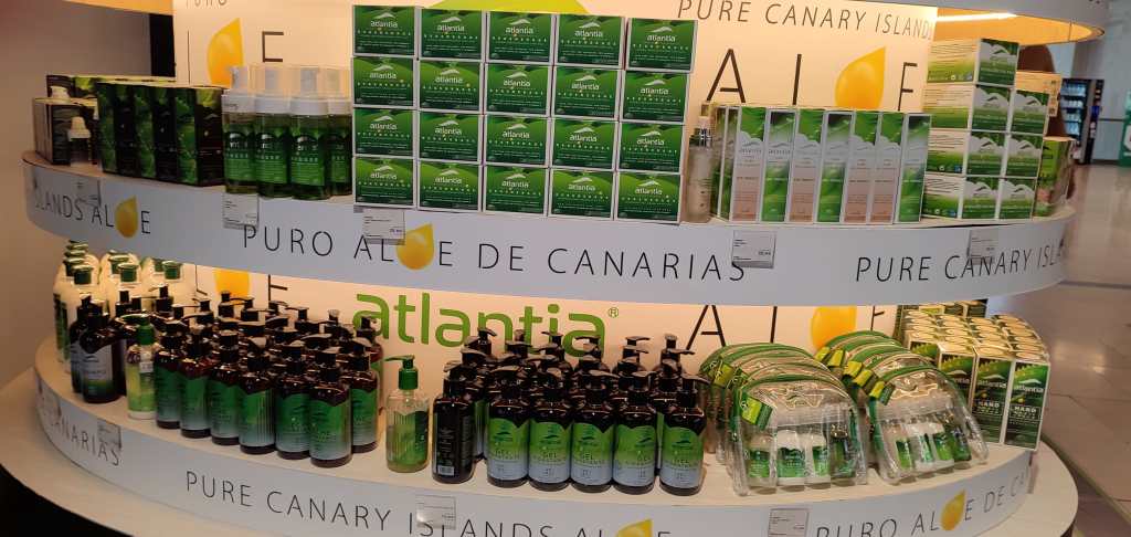 Aloe vera, la planta de los mil y un beneficios para la salud 