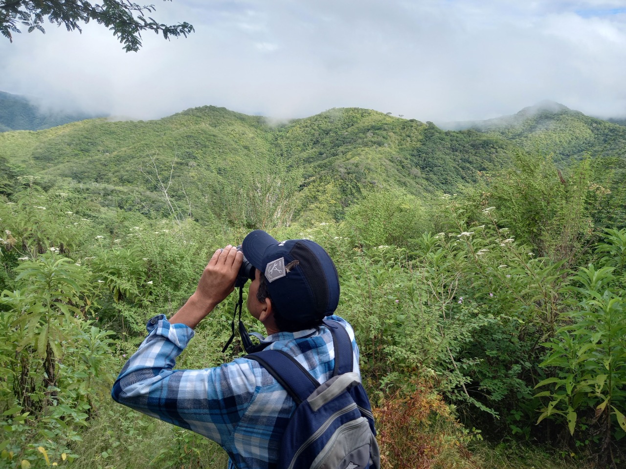 Hombres y mujeres en Guatemala viven apasionados por ver y escuchar a las más de 700 aves que existen en el país.  Ellos registran también imágenes y sonidos que nos acercan a conocer más de ellas.  (Foto Prensa Libre: Club de Observadores de Aves de Oriente)