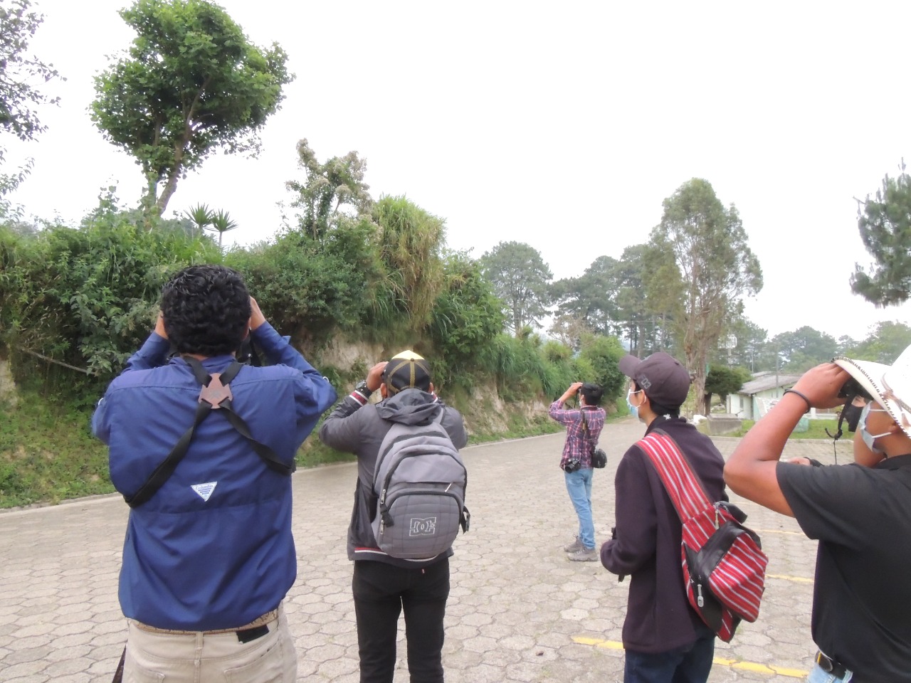 Día Internacional de las Aves Migratorias