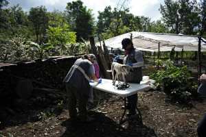 Members of an animal welfare organization assist a dog at an improvised shelter during the simulacrum of the eruption of the Pacaya Volcano, at El Rodeo village in San Vicente Pacaya, 55 Km south of Guatemala City on May 6, 2022. - Residents, authorities and animal welfare organizations carried out the first evacuation drill, focused on animal protection, in the face of an eventual eruption of the Pacaya volcano. (Photo by Johan ORDONEZ / AFP)