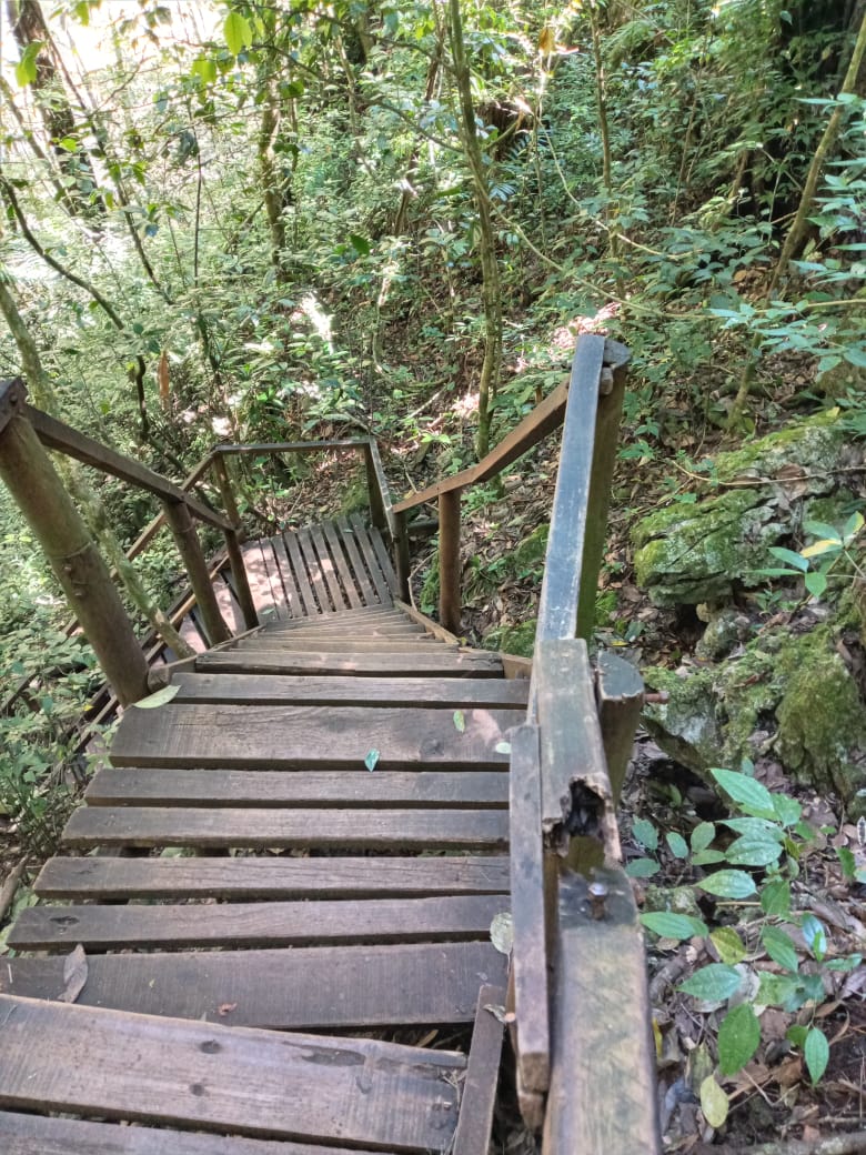 Imágenes del sendero de ascenso