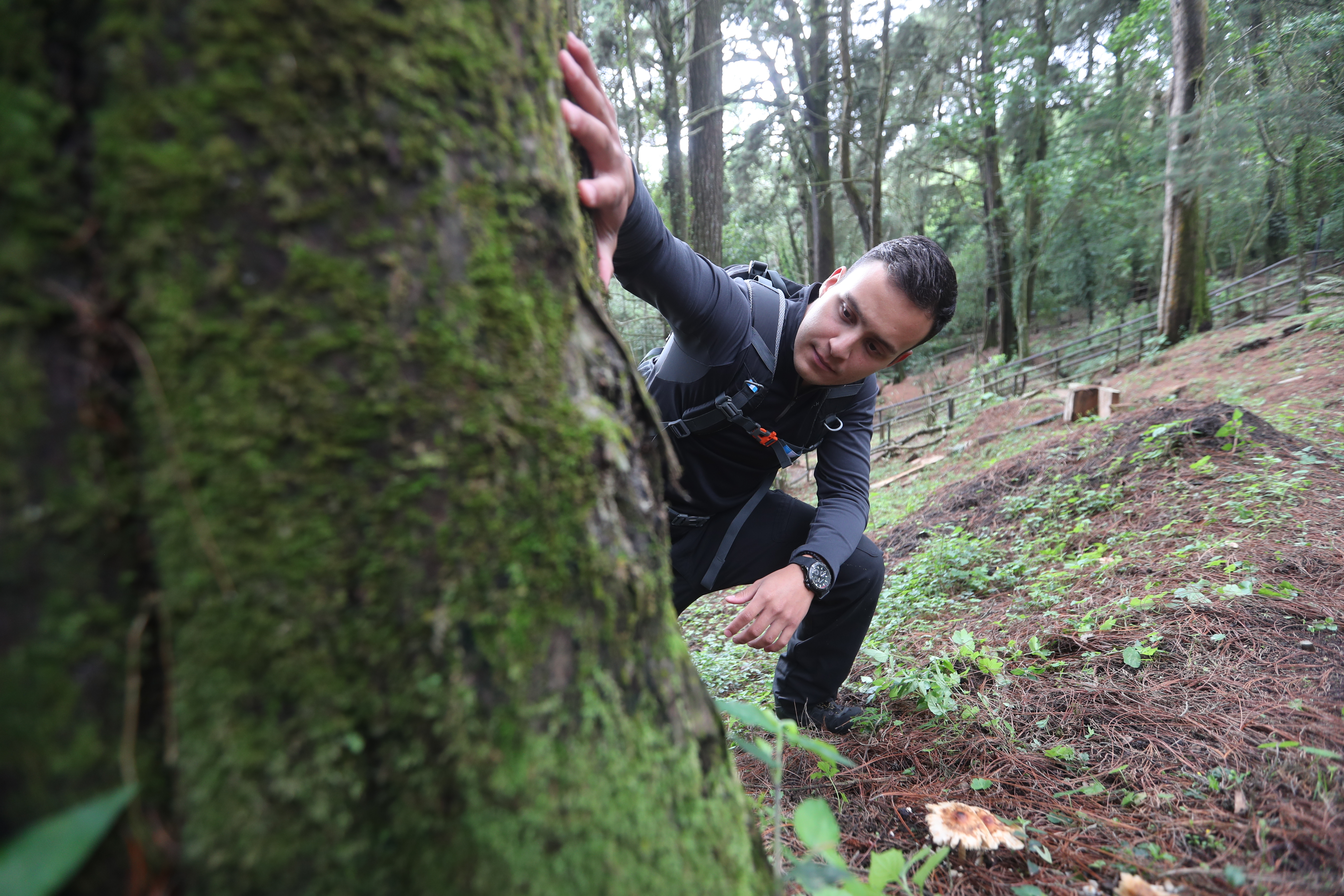 Biólogo y conservacionista guatemalteco Melvin Flores