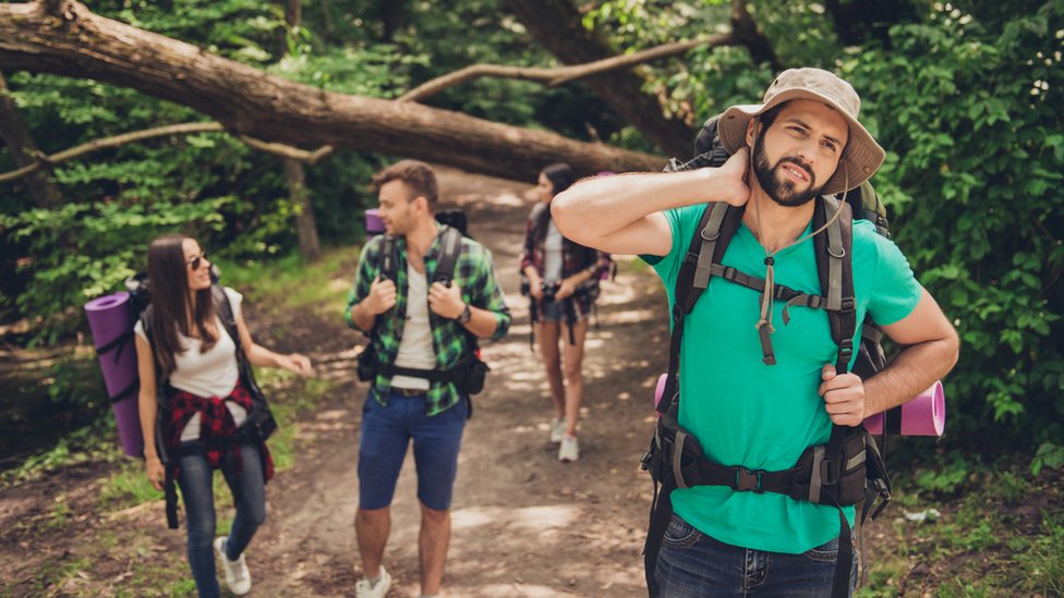 Si te ha picado un mosquito, seguro que fue una hembra. Los machos no pican. Getty Images