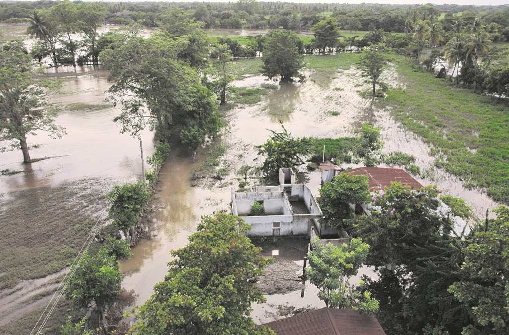 daños, cultivos, lluvias, cambio climatico