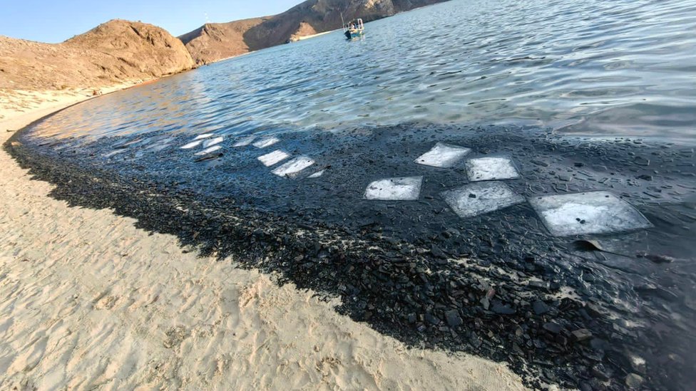 Cortesía Gobierno de Baja California del Sur