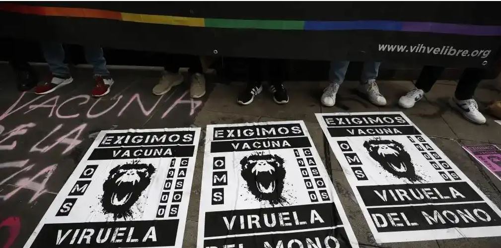 Entre las razones por las que la OMS quiere cambiar el nombre de viruela del mono está la estigmatización contra los primates. (Foto Prensa Libre: EFE)