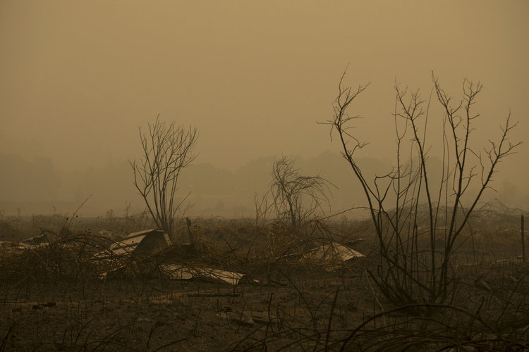 Vegetación dañada después de que un incendio forestal quemara una granja cerca de Mulino, Oregón, el 10 de septiembre de 2020.  
(Foto Prensa Libre: Kristina Barker/The New York Times)
