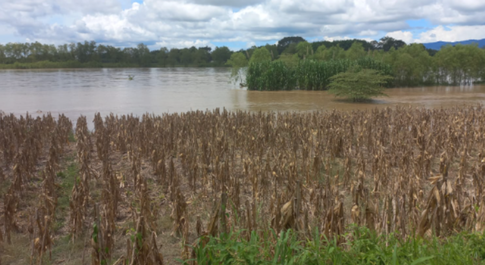 Inundaciones en Morales