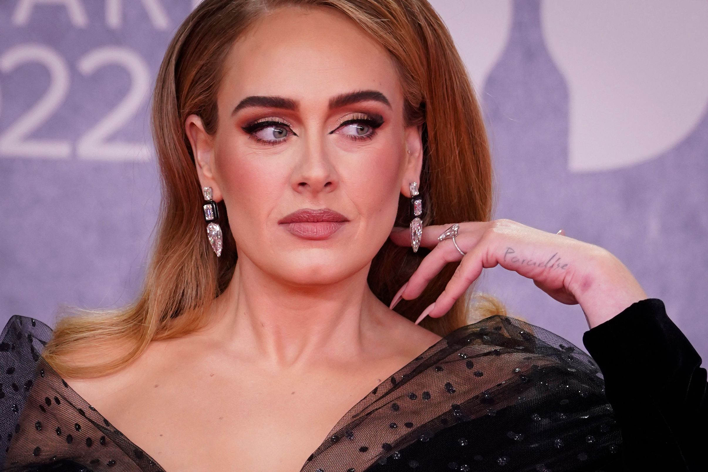 La cantante Adele confirmó un retiro temporal luego de varios años trabajando.