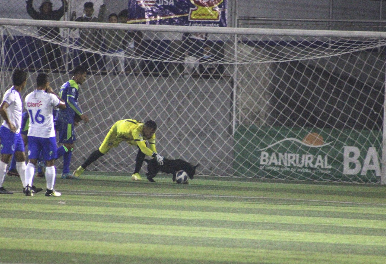 Un perrito fue el protagonista en el duelo de Mixco ante Santa Lucía Cotzumalguapa. Foto Prensa Libre (Adolfo Oliva)