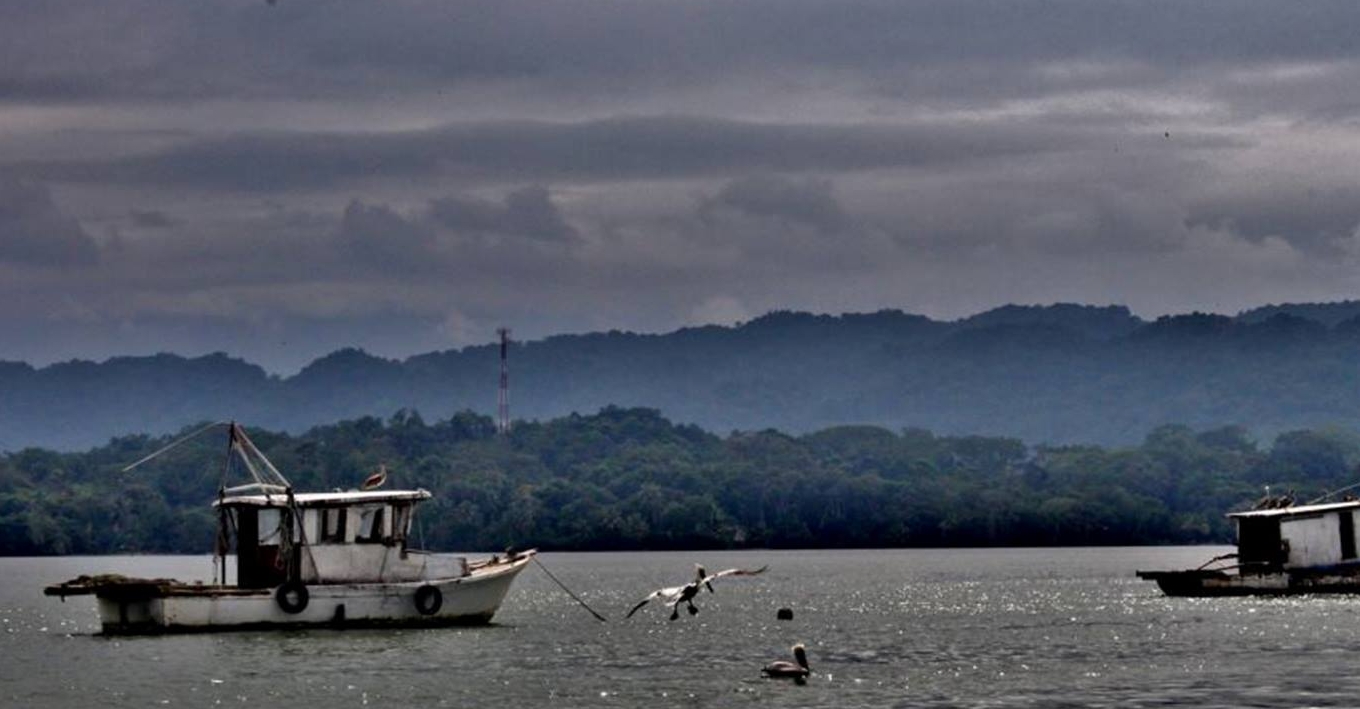 Insivumeh alerta sobre posible concentración de clorofila en el mar Caribe y emite recomendaciones