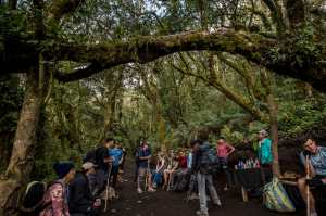 ACOMPAÑA CRÓNICA: GUATEMALA TURISMO GU3002. ACATENANGO (GUATEMALA), 18/11/2022.- Fotografía que muestra turistas mientras toman un descanso en el bosque nuboso durante el ascenso al volcán Acatenango el 12 de enero de 2023 en Acatenango (Guatemala). Después de lo peor de la pandemia de la covid-19, el volcán de Acatenango, en el centro de Guatemala, se ha convertido nuevamente en punto de atracción para turistas locales y extranjeros, en un coloso considerado el tercer pico más alto de Centroamérica. EFE/Esteban Biba