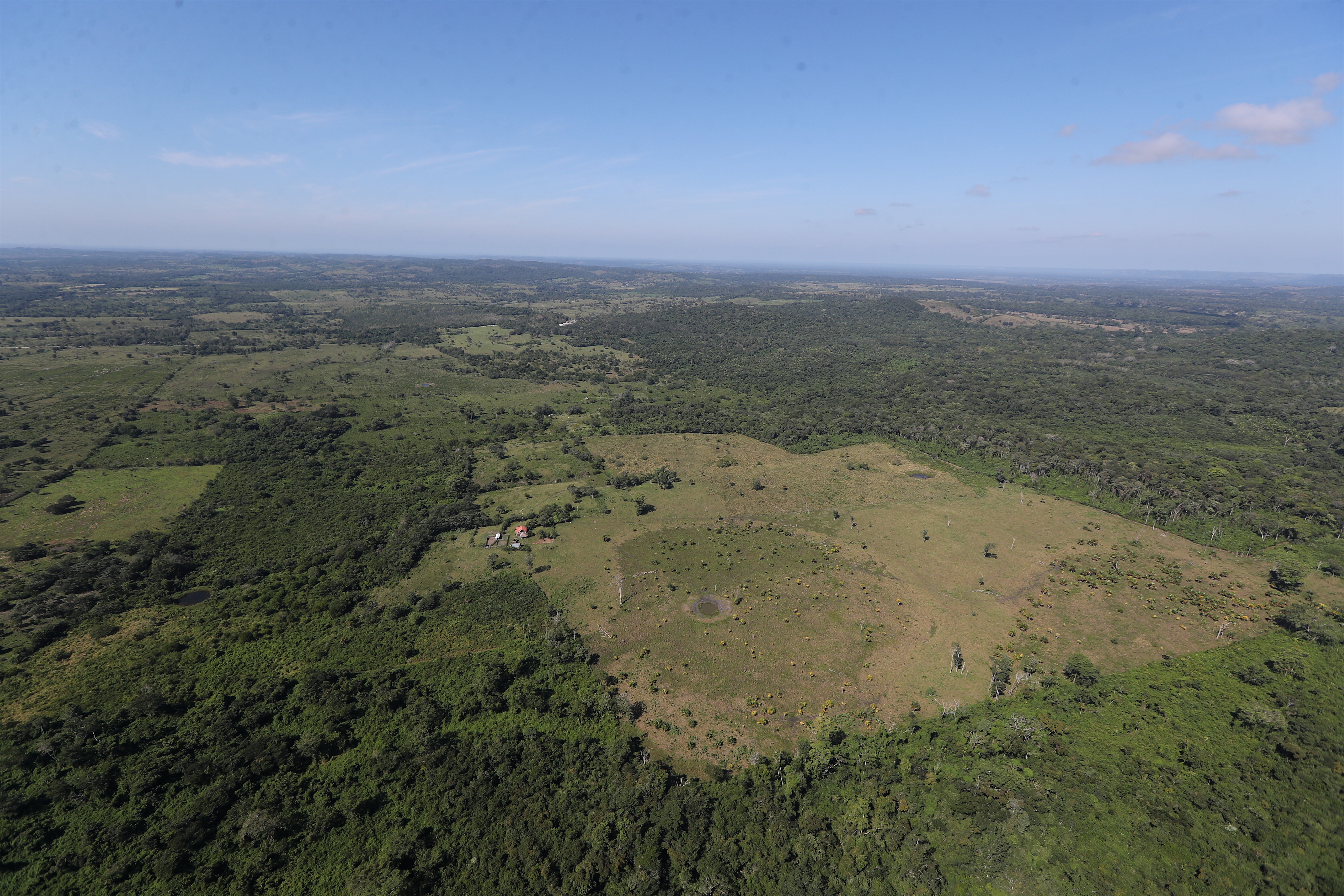 Recorrido por El Mirador, una megápolis donde vivieron monumentos de piedra kárstica y kilómetros de calzadas