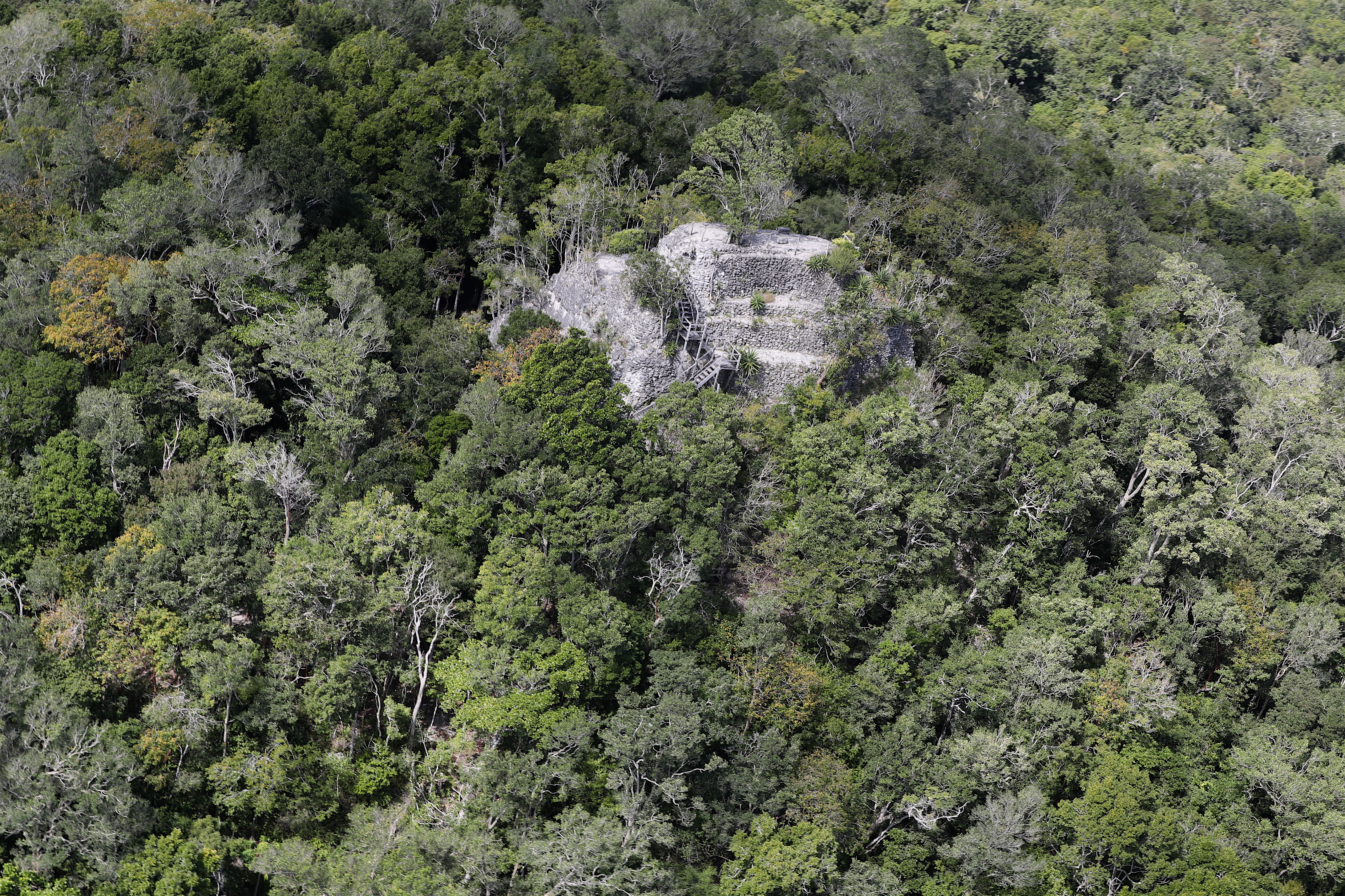 Recorrido por El Mirador, una megápolis donde vivieron monumentos de piedra kárstica y kilómetros de calzadas