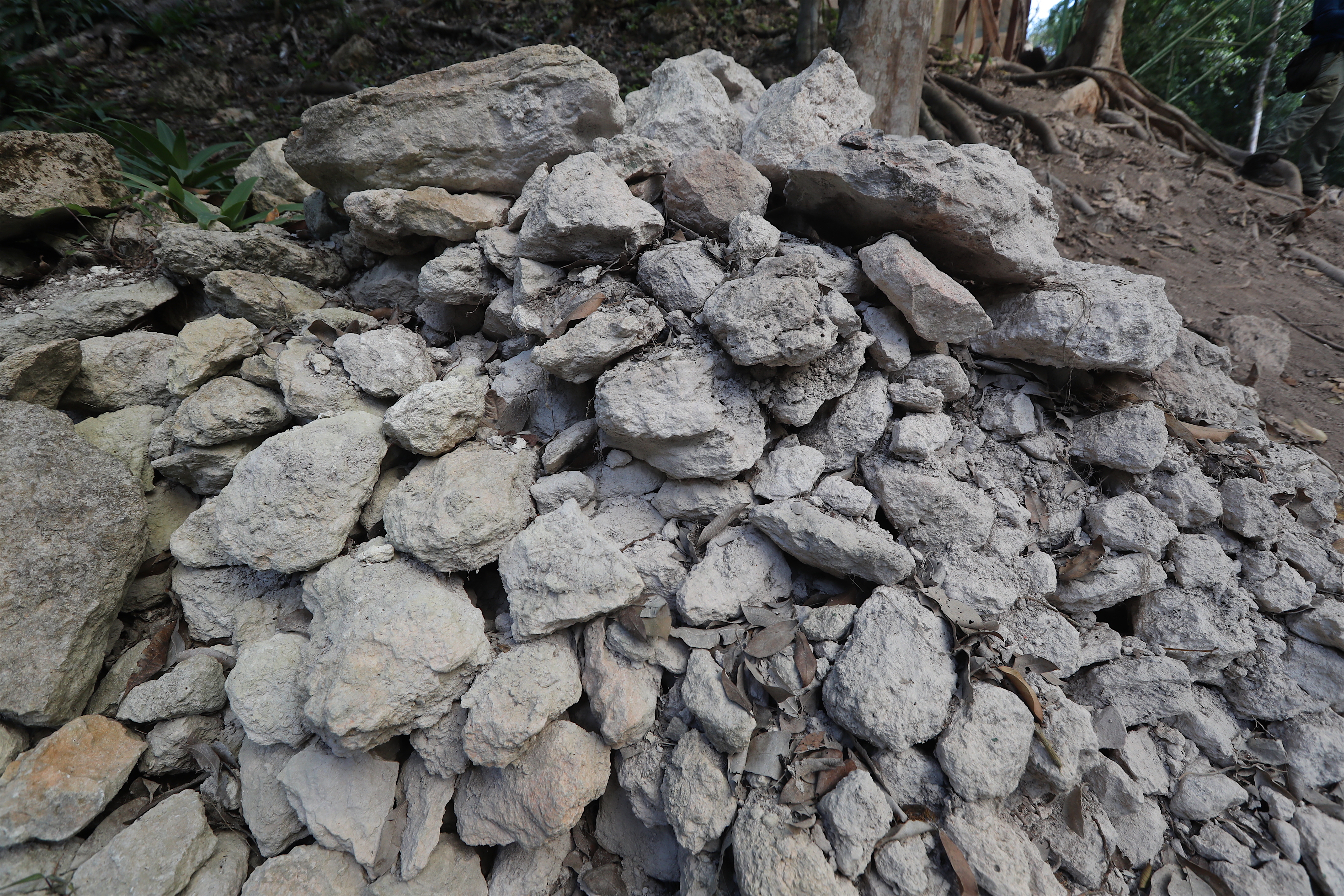 Recorrido por El Mirador, una megápolis donde vivieron monumentos de piedra kárstica y kilómetros de calzadas