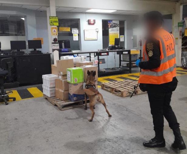 En una bodega de exportaciones en zona 13 capitalina, la SGAIA localizó droga en paquetes con destino a EE. UU. (Foto Prensa Libre: PNC).