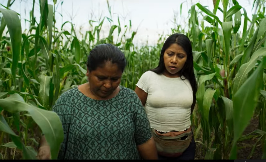 Yalitza Aparicio hace un llamado de paz