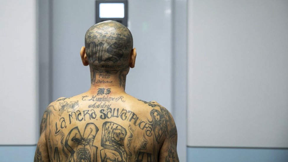 Cientos de presuntos pandilleros de la Mara Salvatrucha (MS-13) están establecidos en México (en la imagen, uno de sus miembros en la nueva megacárcel de El Salvador). Gobierno de El Salvador