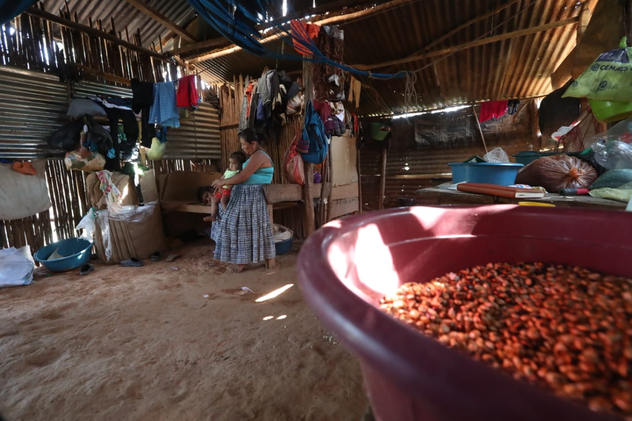 que es kwashiorkor por desnutricion en panzos alta verapaz guatemala foto prensa libre 14 de marzo 2023