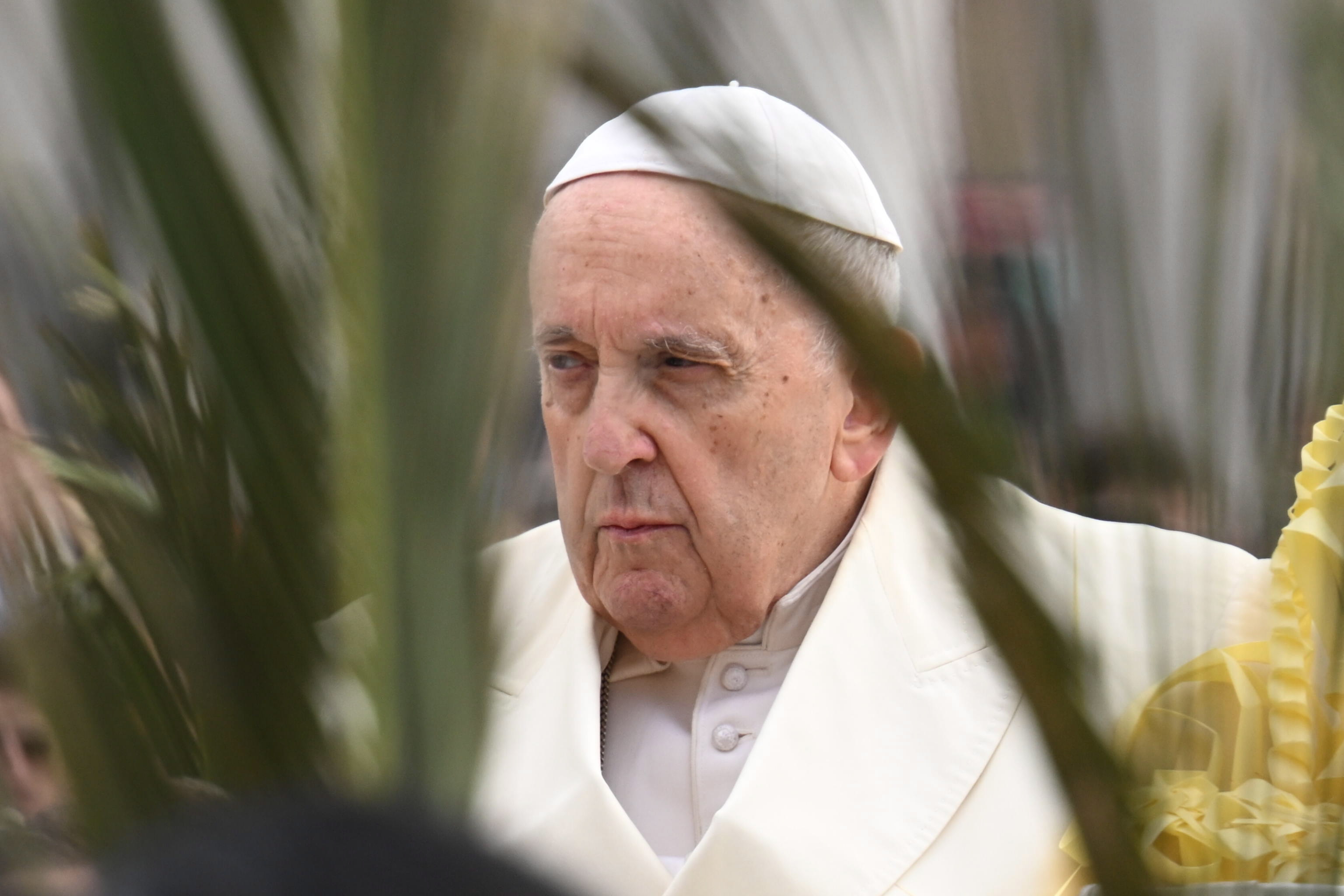 El papa Francisco reapareció este domingo en la plaza de San Pedro del Vaticano para presidir la misa del Domingo de Ramos, un día después de recibir el alta hospitalaria por la bronquitis que lo mantuvo ingresado desde el pasado miércoles. (Foto Prensa Libre: EFE).