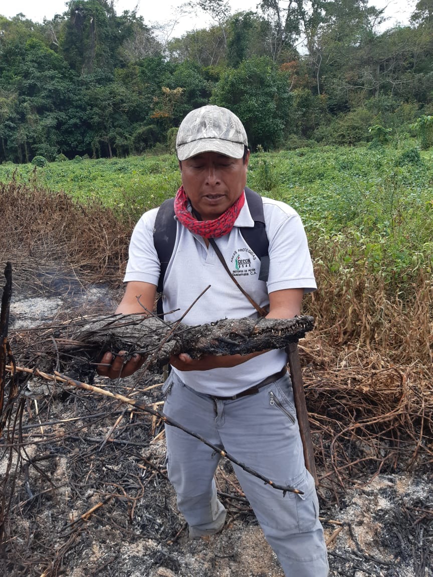 Incendios forestales