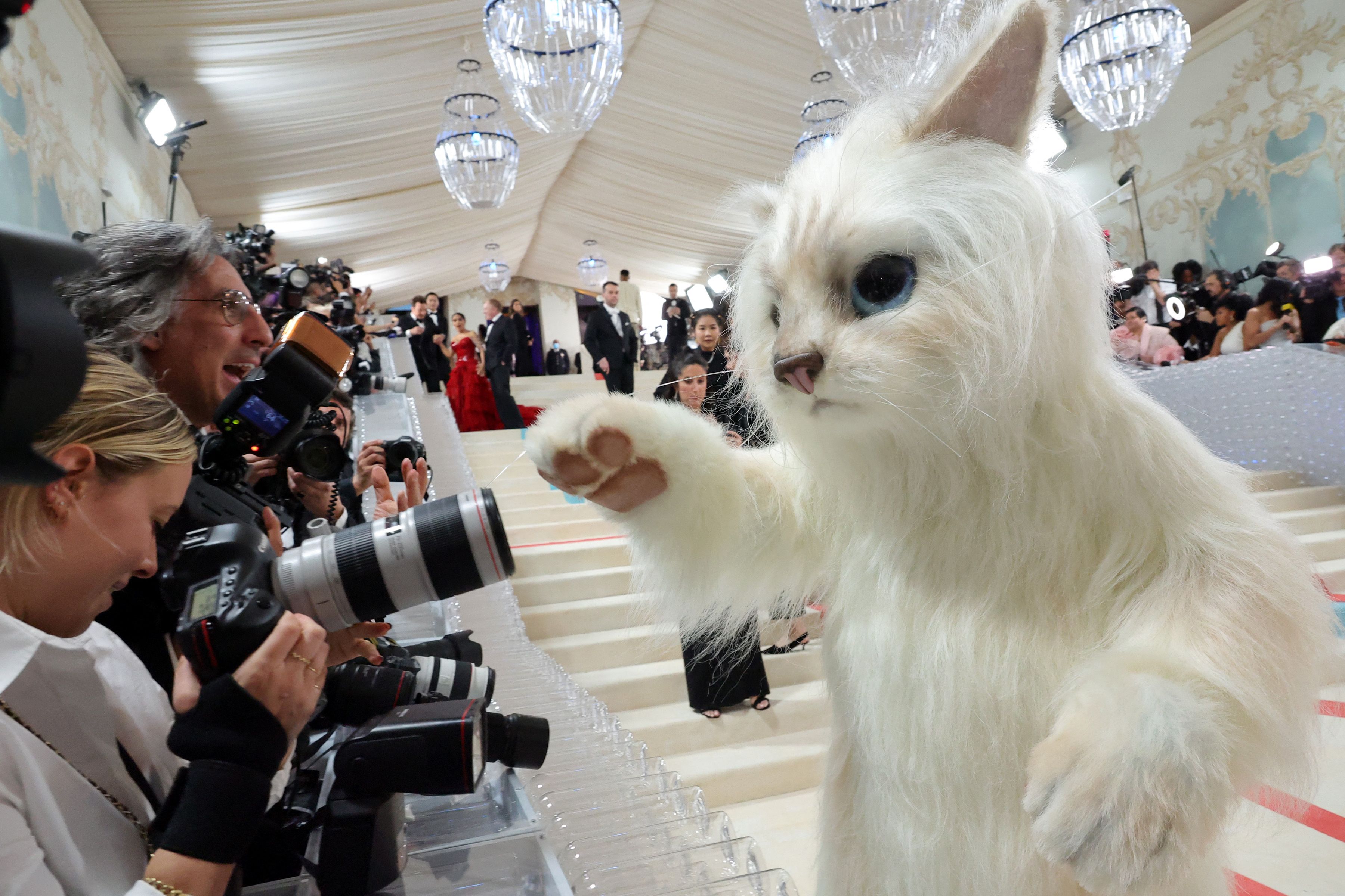 Fotos: Jared Leto se vuelve centro de atención en el Met Gala al disfrazarse de gato y estas fueron las reacciones'