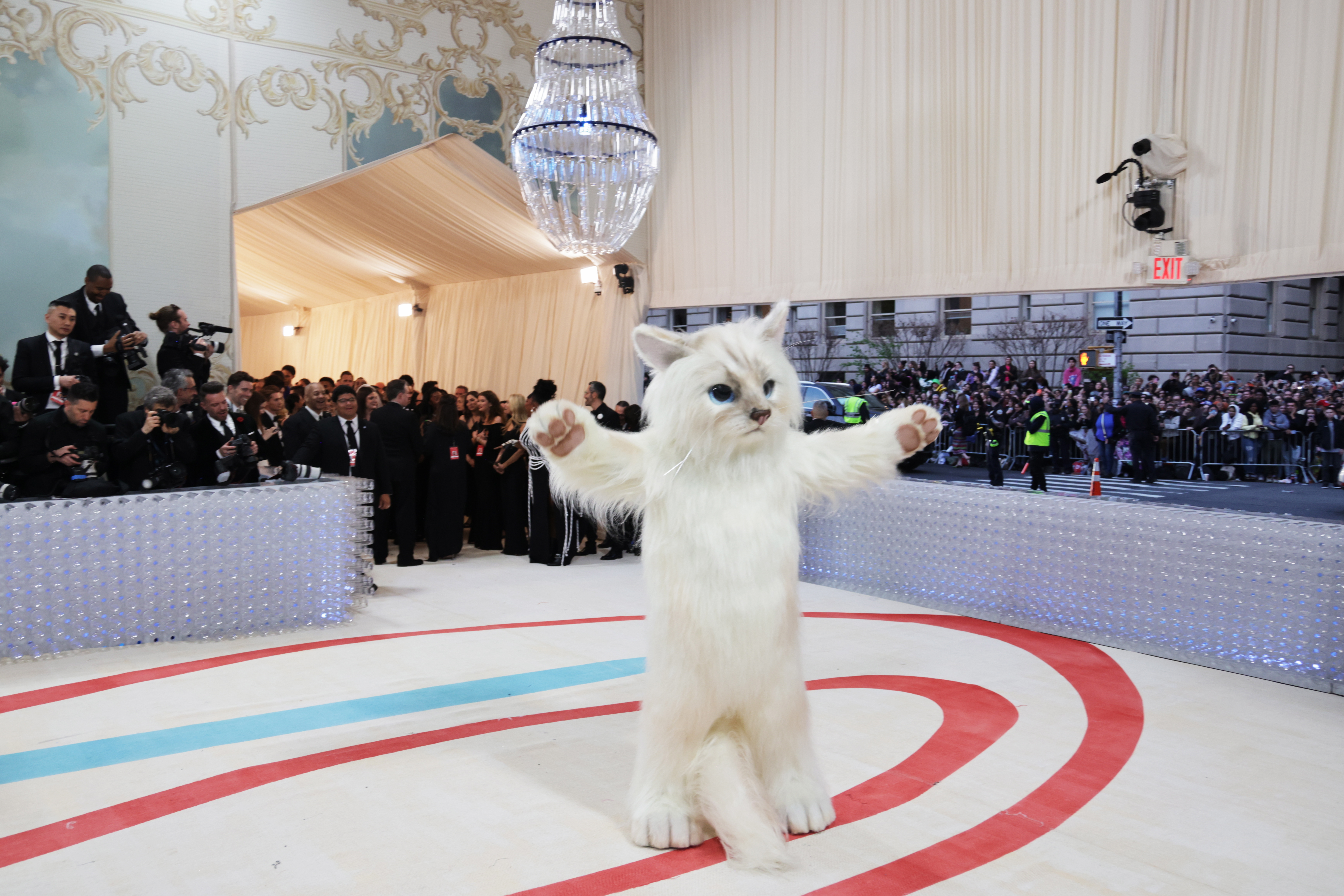 Fotos: Jared Leto se vuelve centro de atención en el Met Gala al disfrazarse de gato y estas fueron las reacciones'