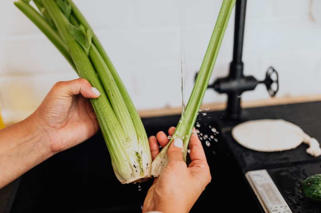 Plantas medicinales más comunes - propiedades del apio