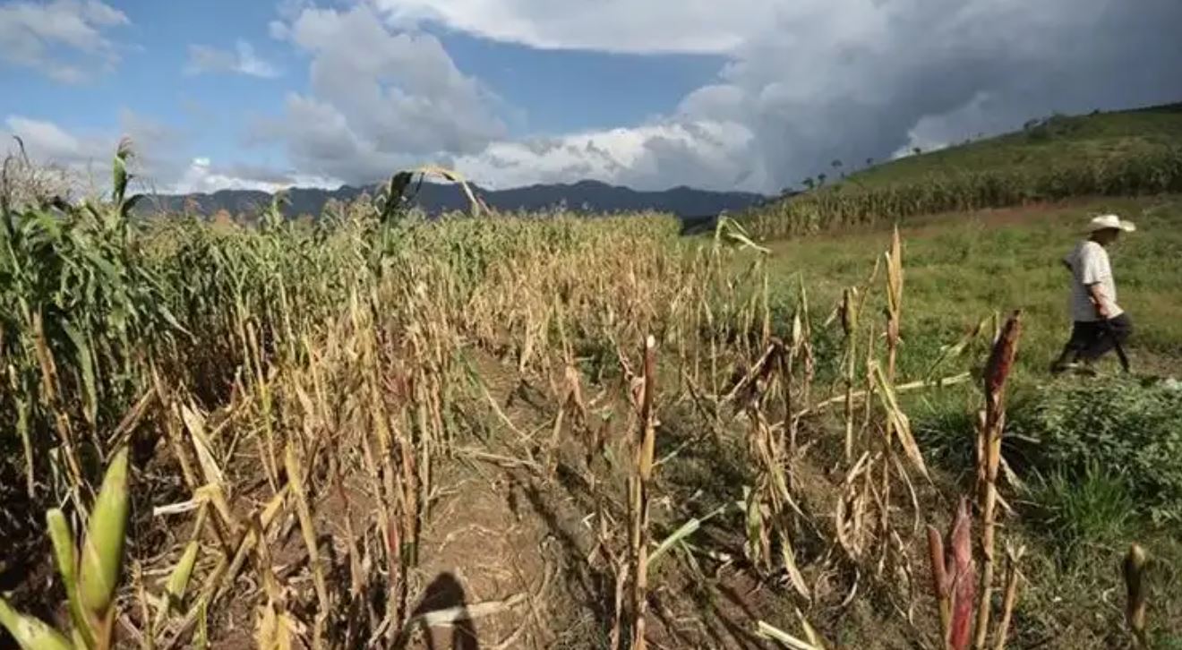 Sequía. El Niño