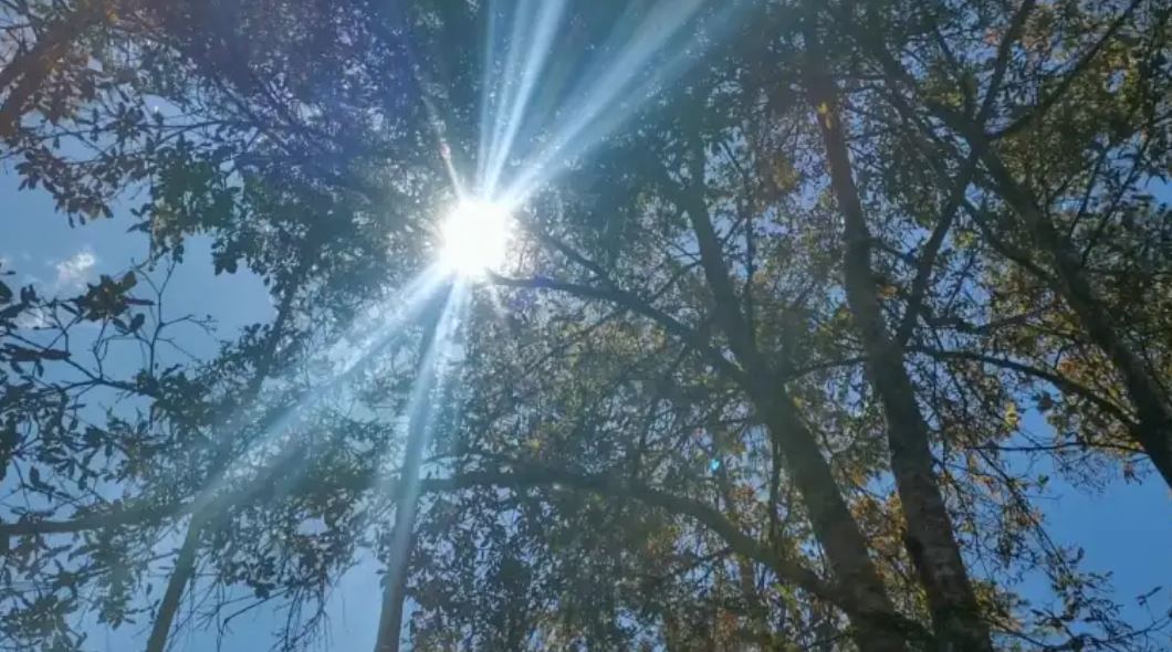 El Insivumeh prevé calor y lluvia para el domingo 11 de junio 2023. (Foto Prensa Libre: César Pérez Marroquín) 