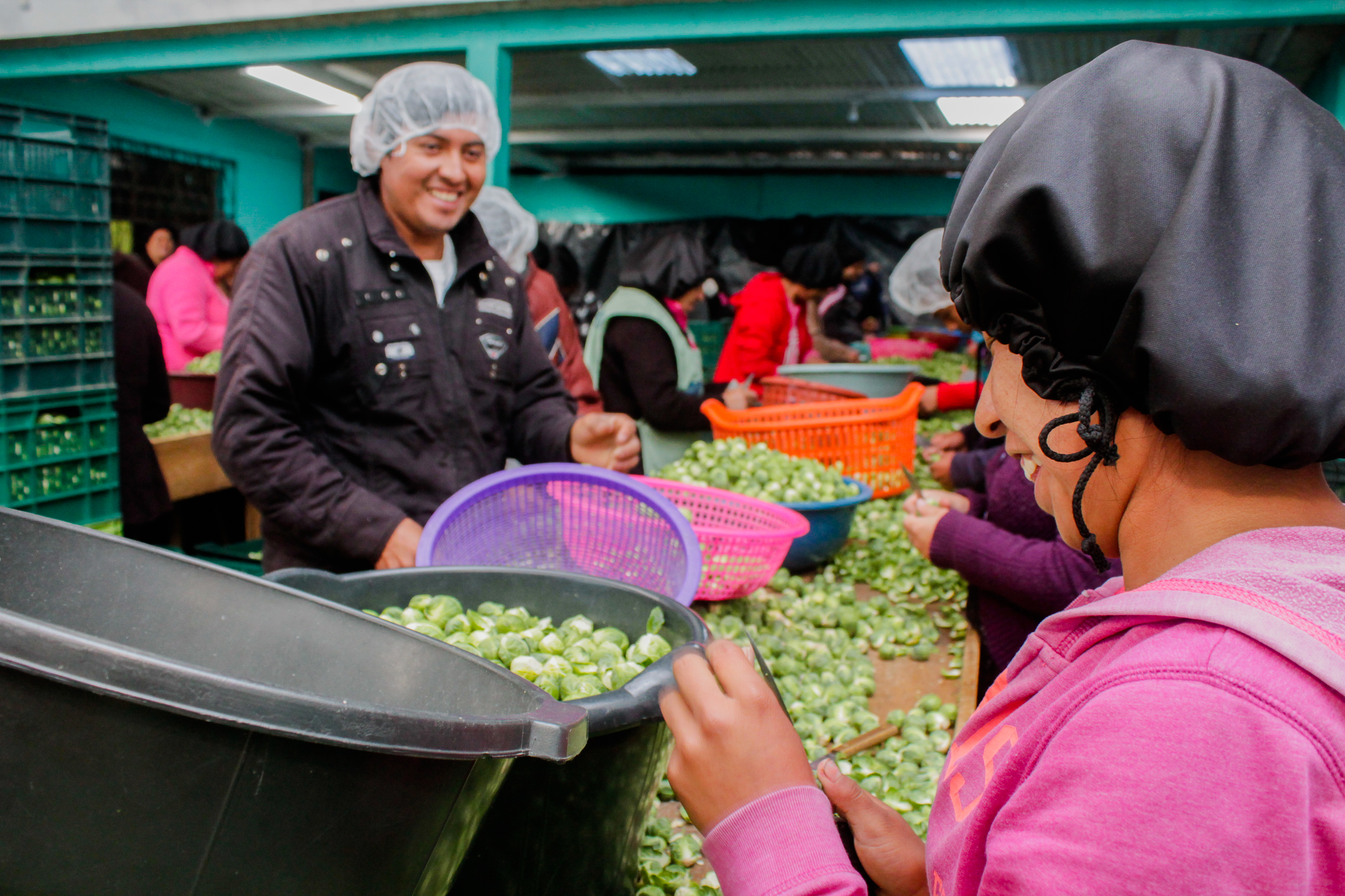 Un programa en San Marcos, apoyado por la comunidad internacional. (Foto: ONU Guatemala)