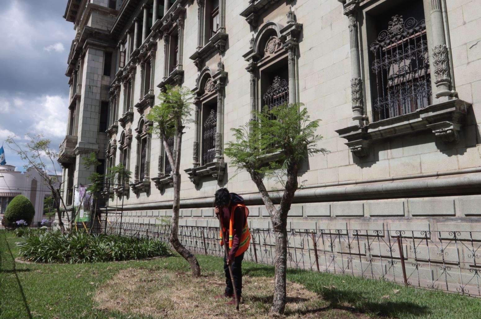 En el Palacio Nacional de la Cultura  se trasplantaron árboles de jacaranda desde el Centro Cultural Miguel Ángel Asturias (Foto Prensa Libre: Erick Ávila).