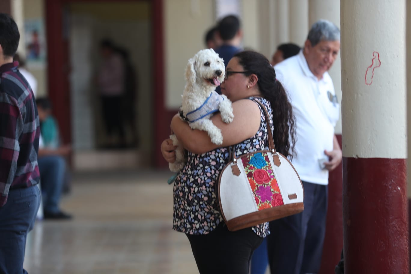 Así se vivieron las elecciones generales de este domingo 25 de junio'