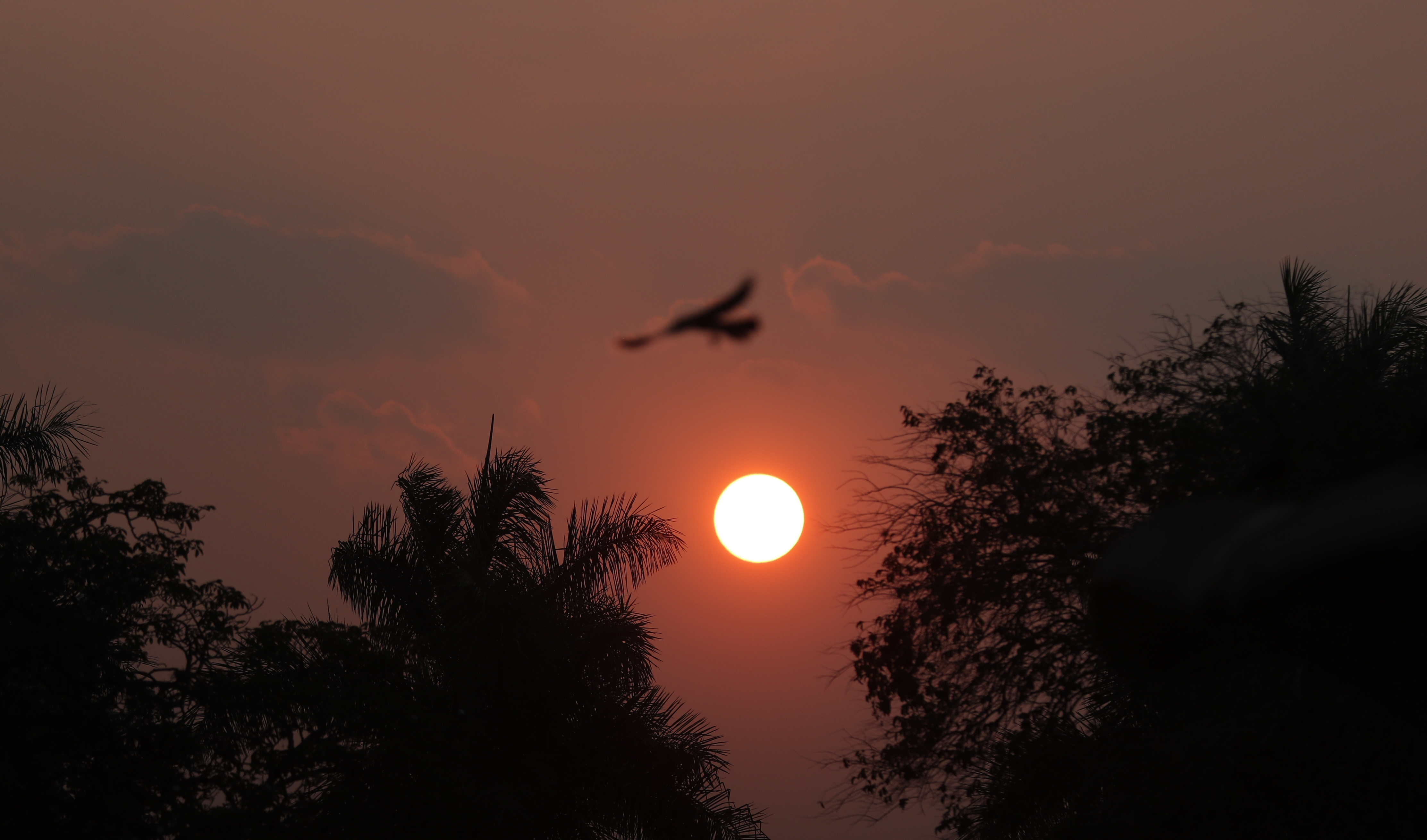 el sol