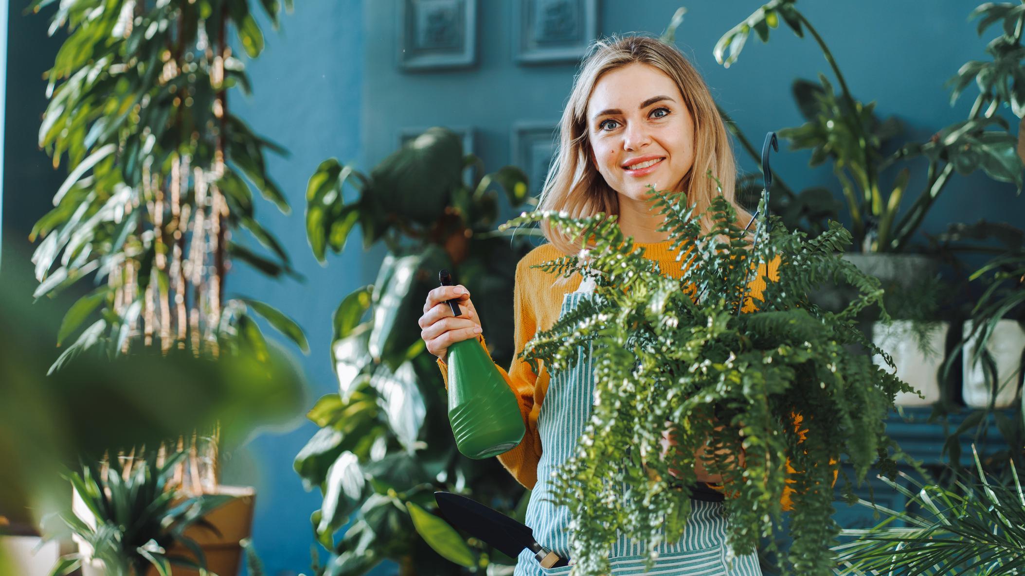 Las plantas también sirven para decorar un espacio interior. GETTY IMAGES