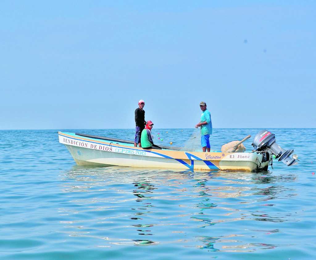 Aumento de temperaturas del oceano - pesca