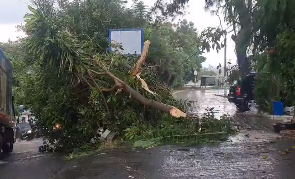 Incidentes provocados por las lluvias