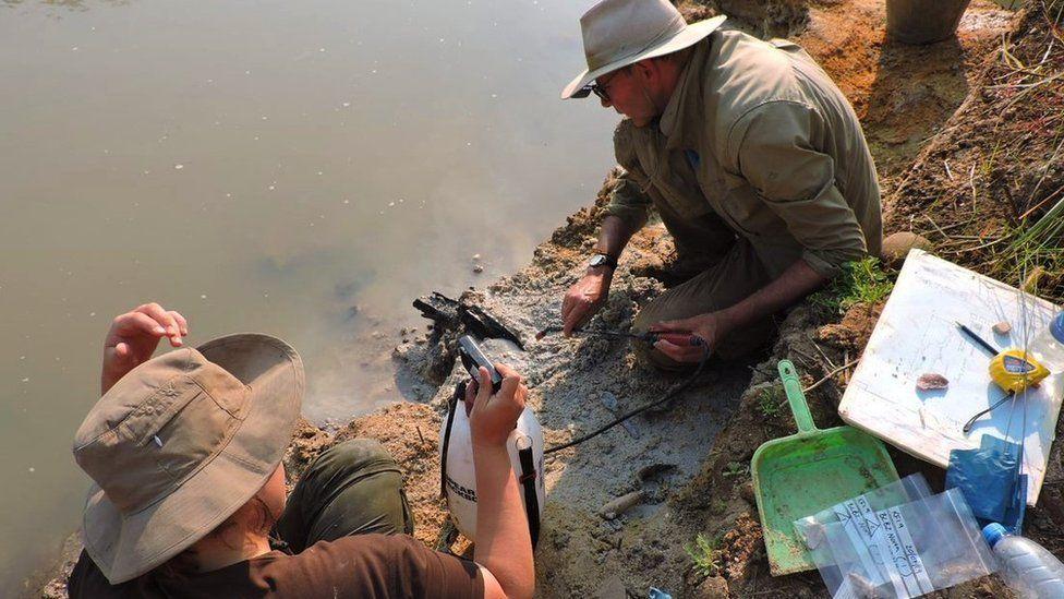 El profesor Larry Barham descubre la estructura de madera en las laderas del río.