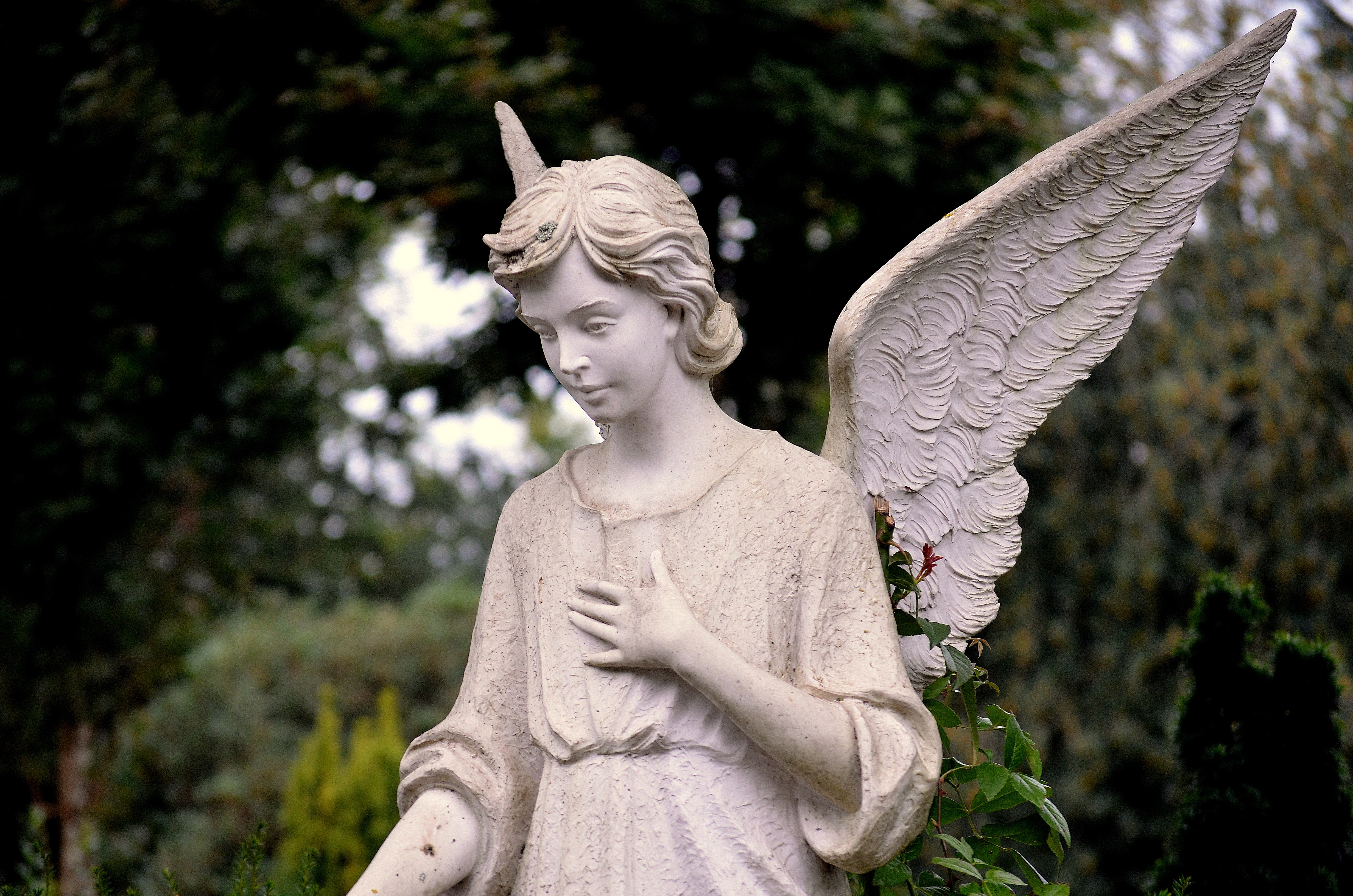 La figura de las ángeles está presente en distintas culturas.   (Foto Prensa Libre: Mario Wallner/Pexels)