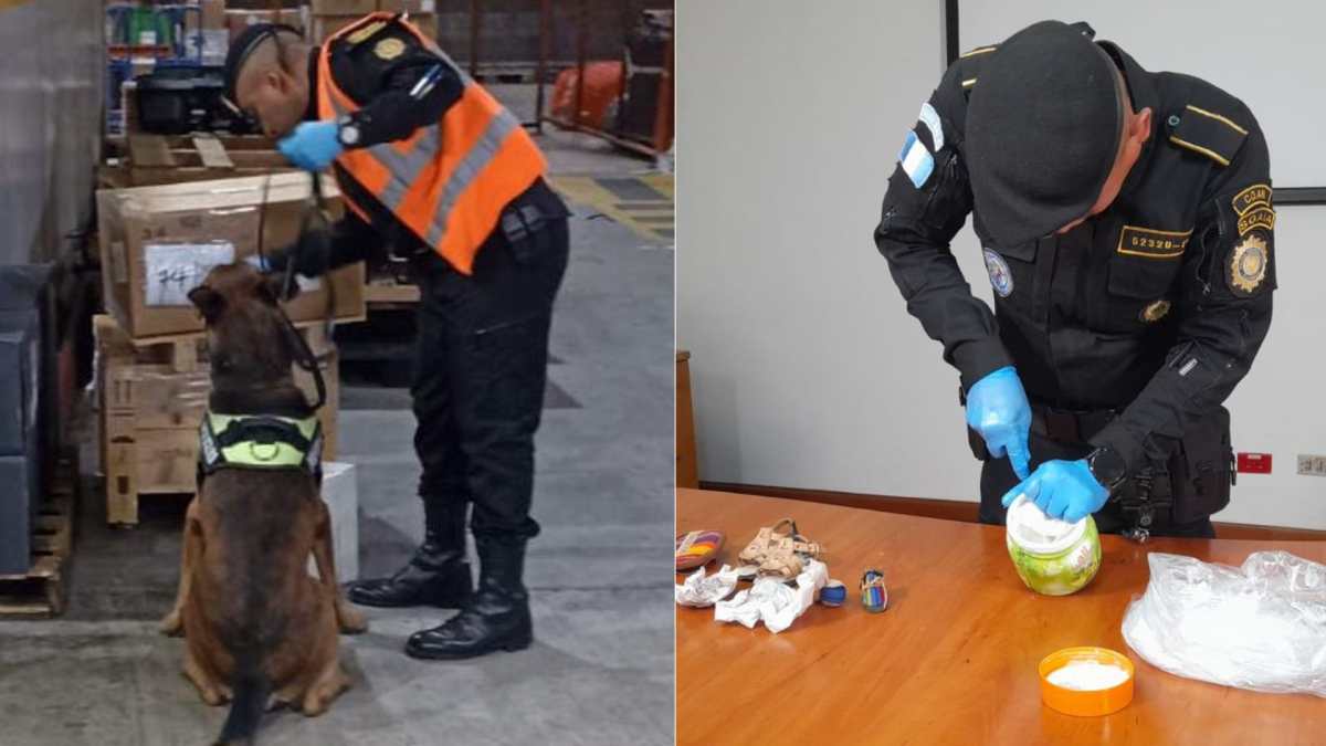 decomiso droga perro policia pluto