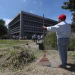 Los trabajos de limpieza en el campus central de la Usac llevará varias semanas, según trabajadores. (Foto Prensa Libre: Juan Diego González)