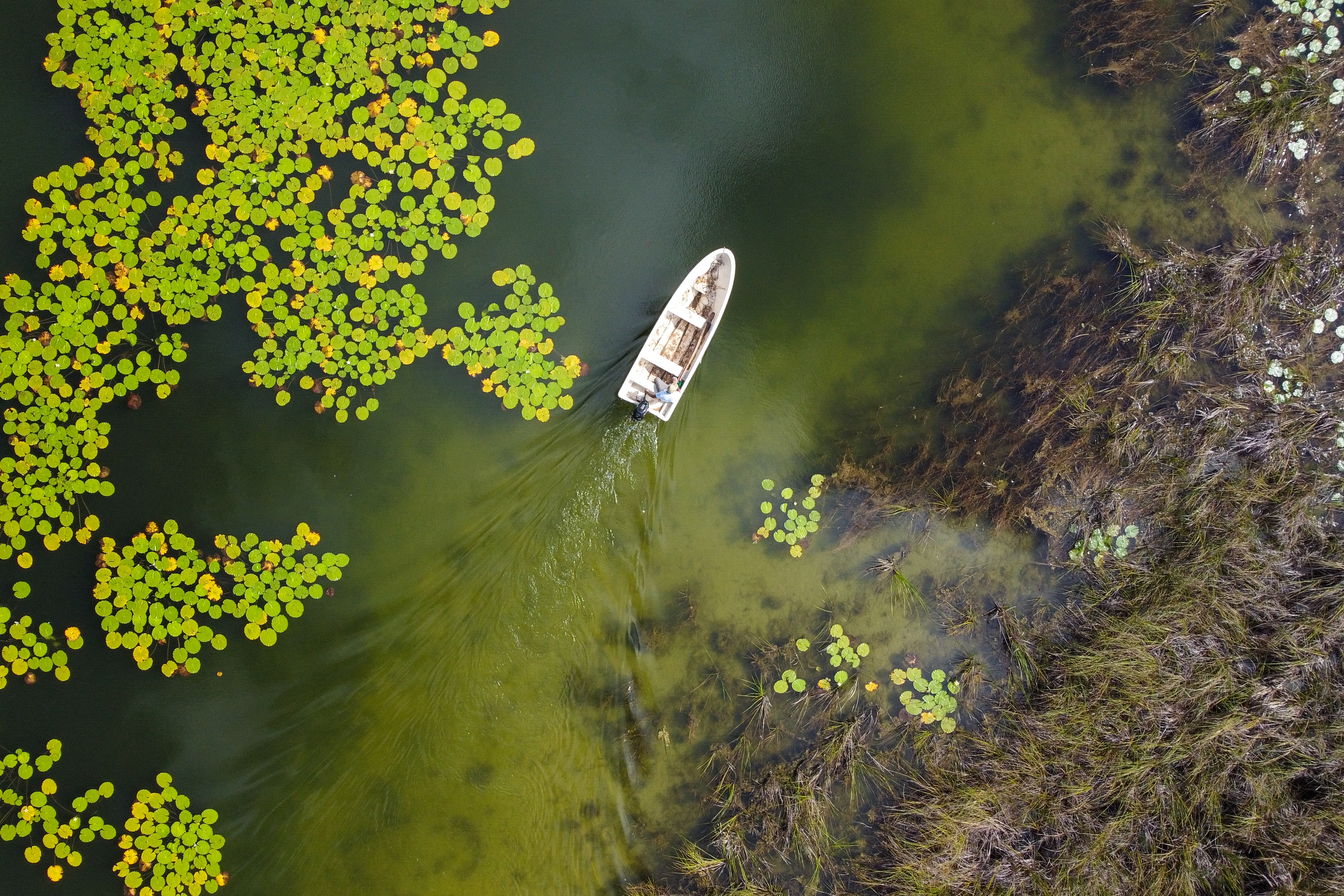 Barco en un lago en el bosque de Puerto Arturo, un sector en el corazón de la Reserva de la Biosfera Maya, en Petén, Guatemala, en donde la ganadería ilegal ha deforestado casi la mitad de la Reserva de la Biosfera Maya. (Foto Prensa Libre: AFP)