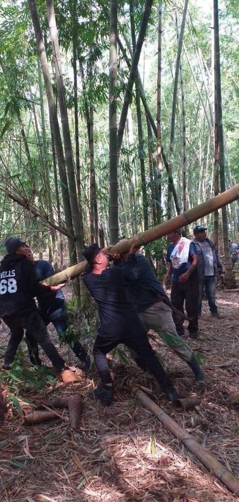 Barriletes gigantes de Guatemala - Los Patojos (3)